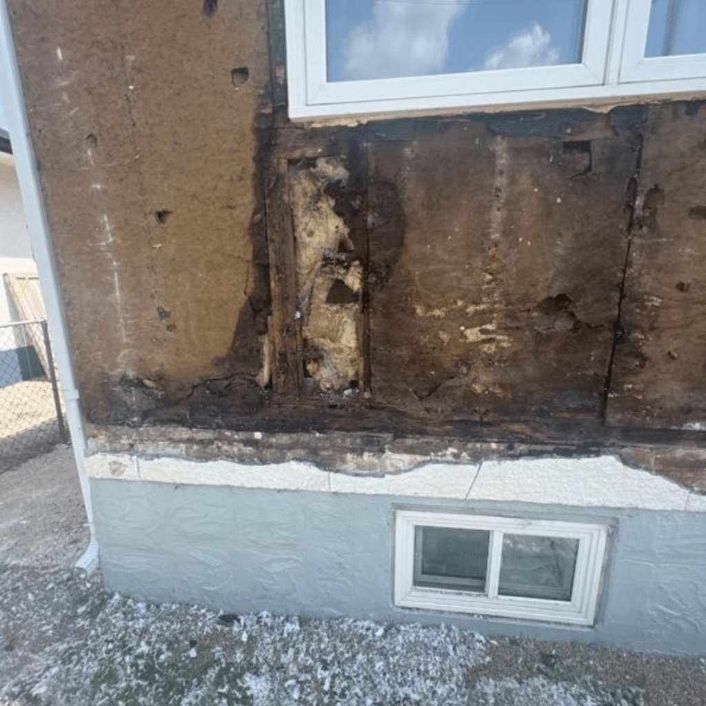 Water damage detail — we buy homes with moisture and mold issues as-is